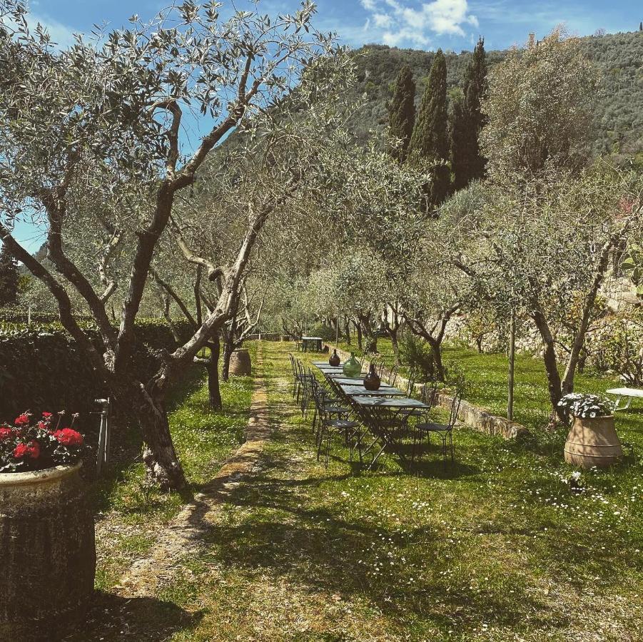 Sotto Il Cielo Di Toscana Appartamenti In Tenuta Only Adults No Pet Camaiore Zewnętrze zdjęcie