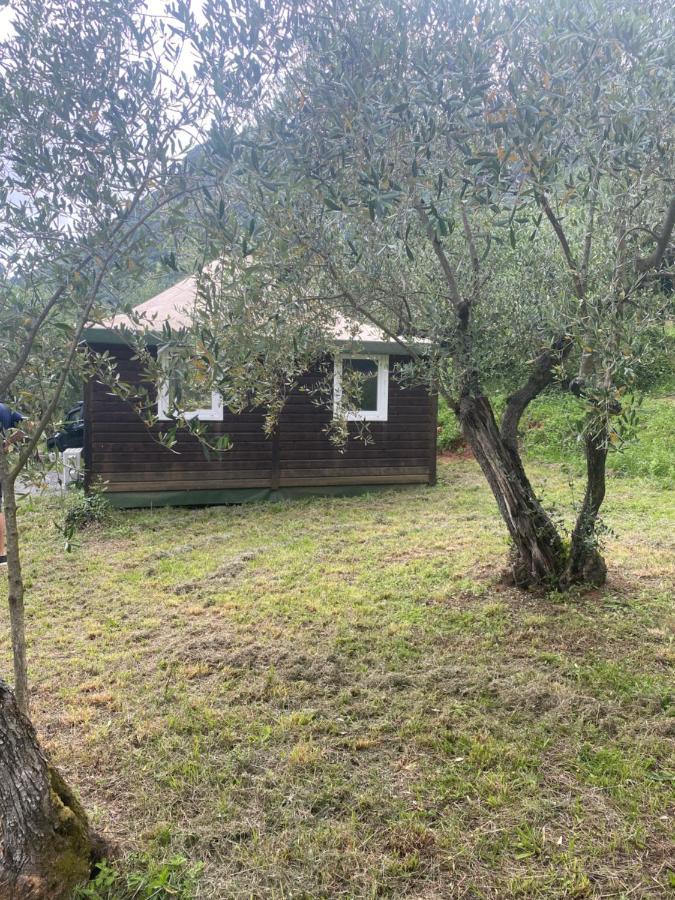 Sotto Il Cielo Di Toscana Appartamenti In Tenuta Only Adults No Pet Camaiore Zewnętrze zdjęcie