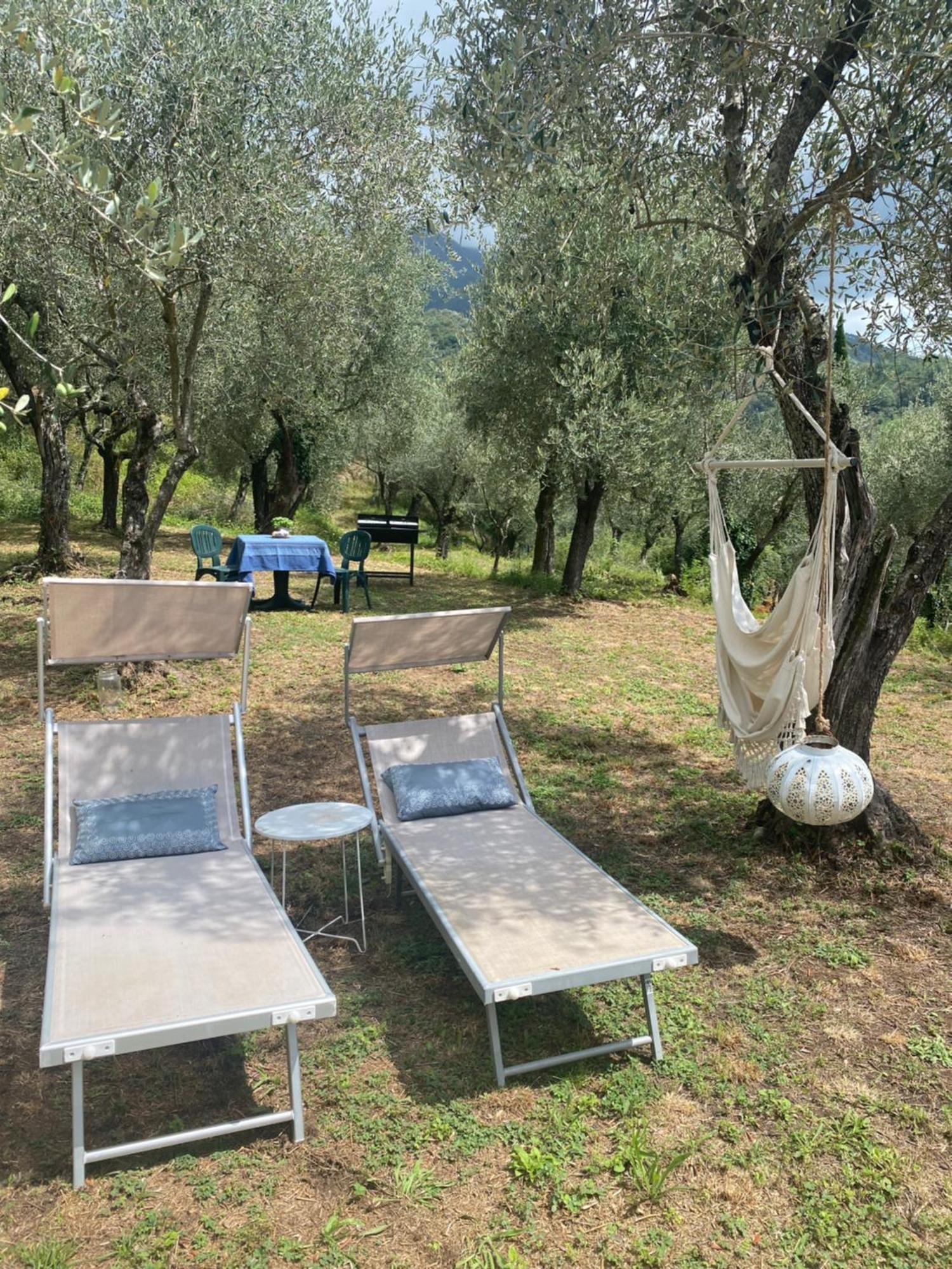 Sotto Il Cielo Di Toscana Appartamenti In Tenuta Only Adults No Pet Camaiore Zewnętrze zdjęcie